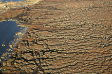 Dry eroded peatlands, Lewis